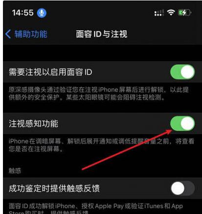 立山苹果14维修网点分享iPhone14注视感知功能有什么用 